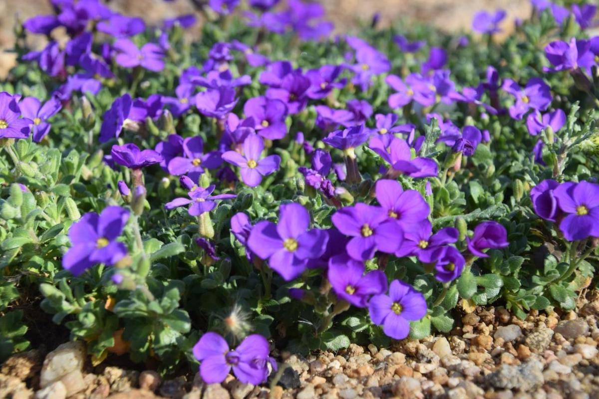 فيلا La Grangette جوييوس المظهر الخارجي الصورة